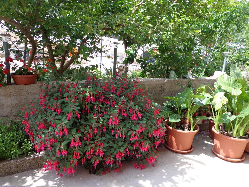 Apartments Nada Mundanije المظهر الخارجي الصورة